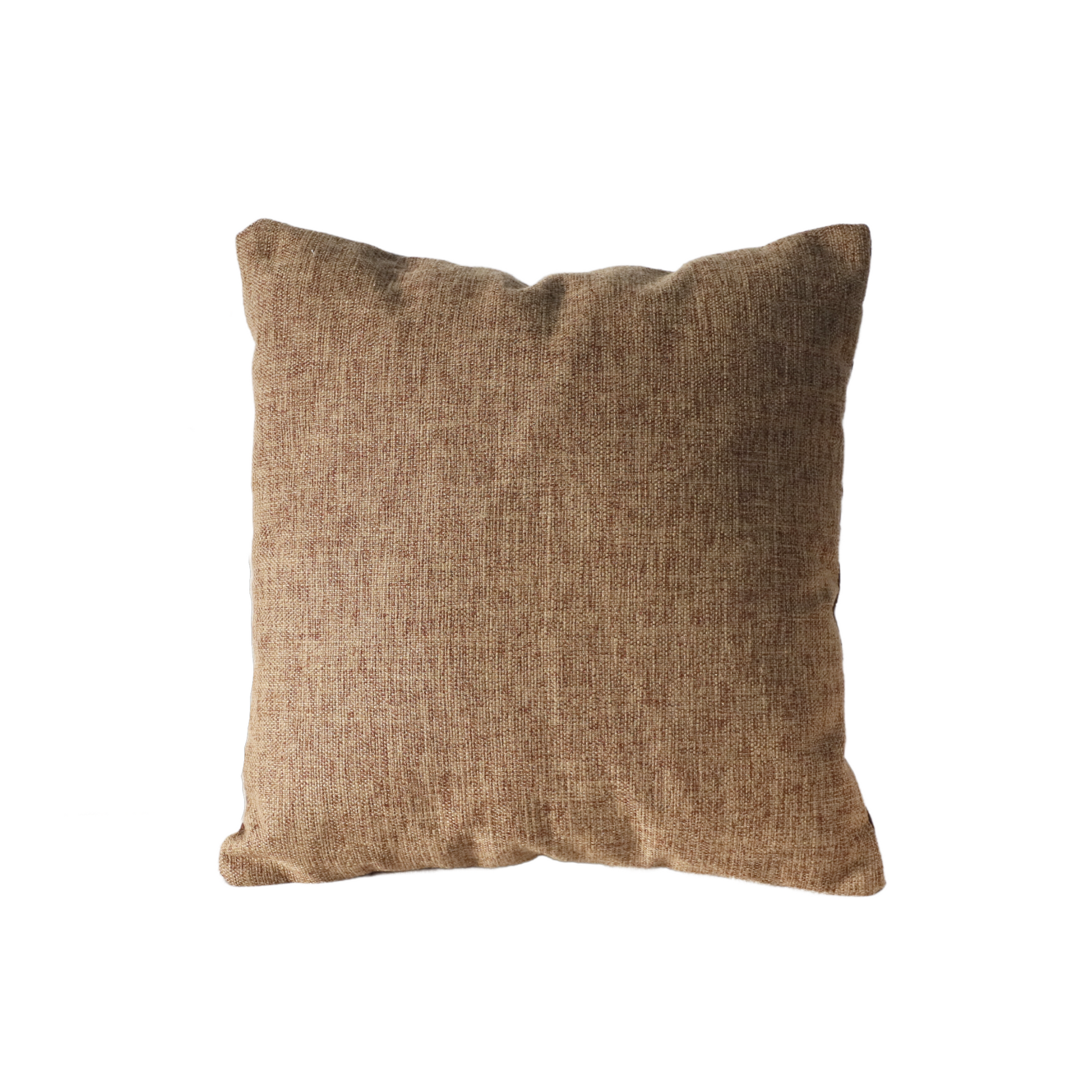 AIM Throw Pillow Pica Pillow