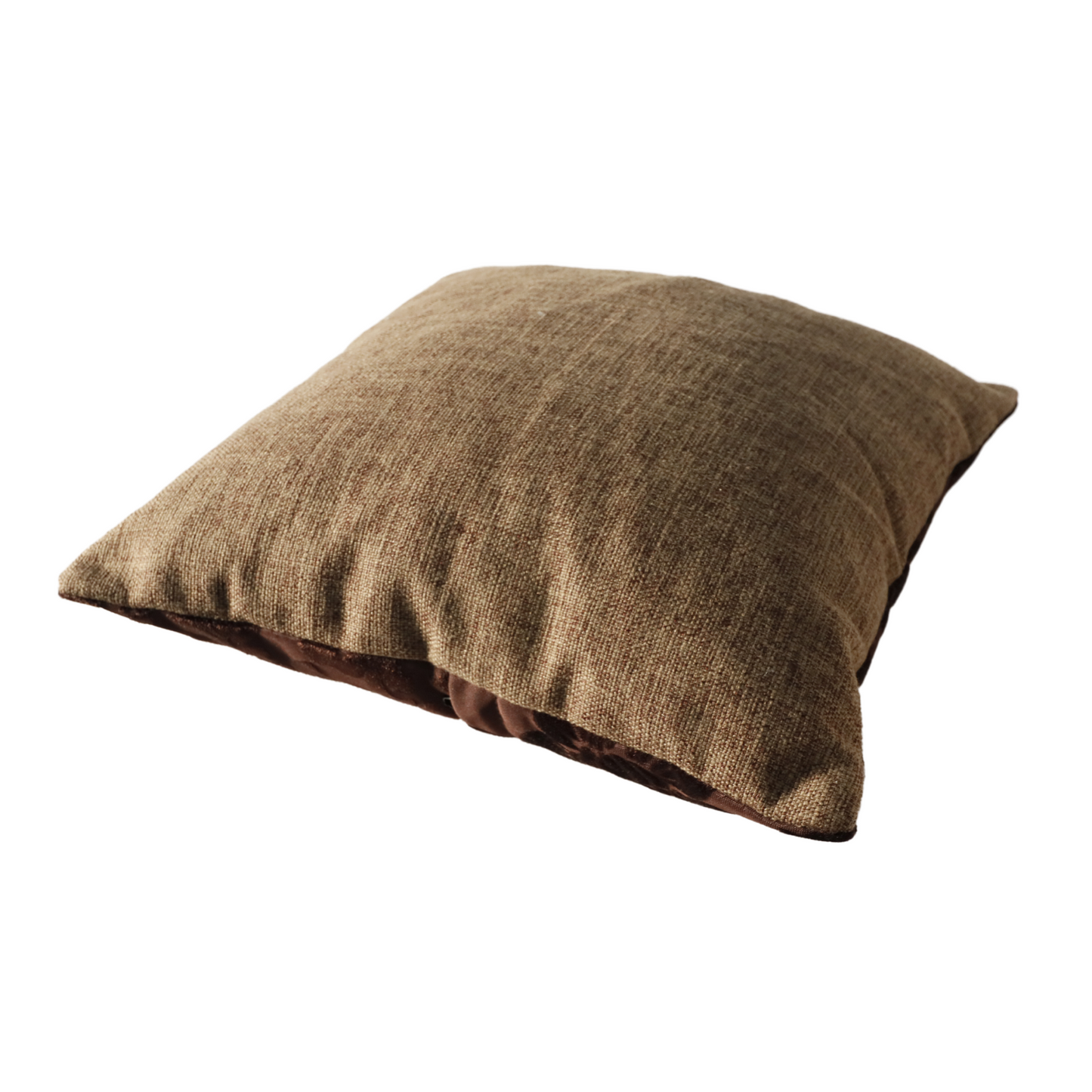 AIM Throw Pillow Pica Pillow