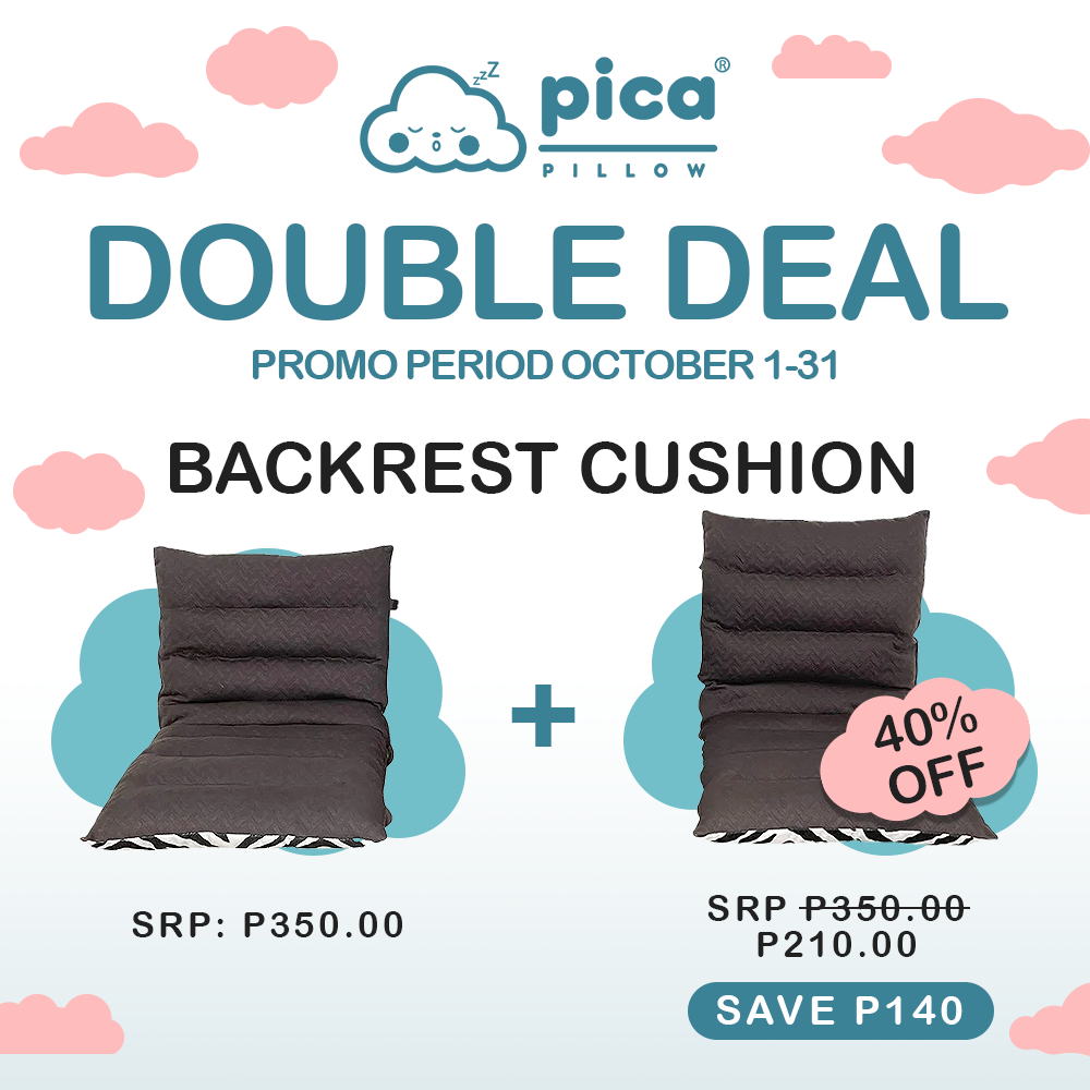 Pica Pillow Backrest Cushion Double Deal AF Home